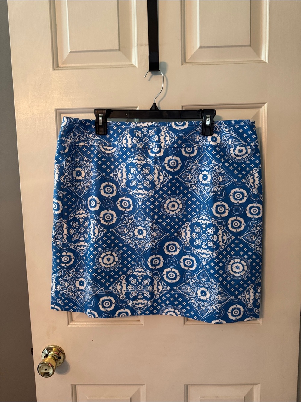 Talbots Skirt